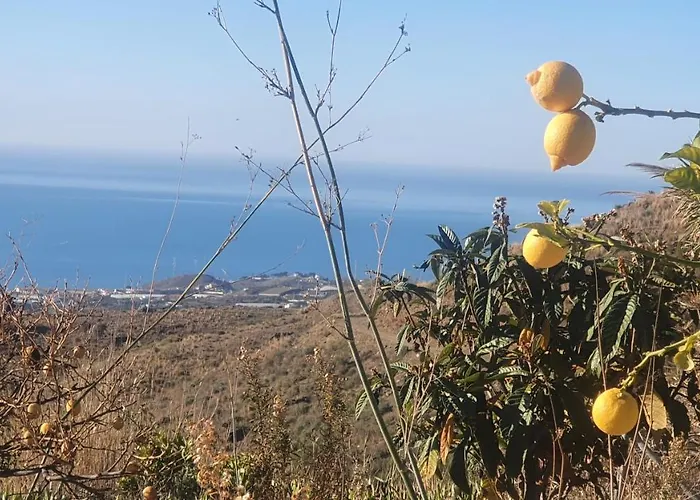 Esperanza Costa Del Sol